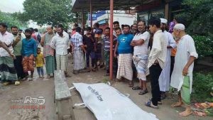 পাবনায় ট্রাকচাপায় ভ্যানচালকের মৃত্যু