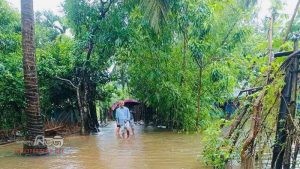 সিরাজগঞ্জের তাড়াশে দেশের সর্বাচ্চ বৃষ্টিপাত