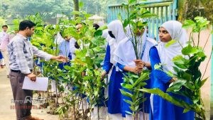 হিলিতে বিনামূল্যে শিক্ষার্থীদের মাঝে ফলজ ও ওষুধি গাছের চারা বিতরণ