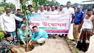 চেহেলগাজী ইউনিয়নে এক দিনে সাত হাজার বৃক্ষ রোপন কর্মসূচী পালিত