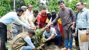 রংপুরে জুলাই-আগষ্ট গণঅভ্যুন্থানে শহীদদের স্মরণে বৃক্ষরোপন