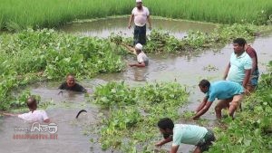 নওগাঁয় স্বেচ্ছাশ্রমে খাল পরিষ্কার