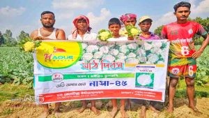 বীরগঞ্জে আগাম জাতের ফুলকপি চাষে কৃষি মাঠ দিবস অনুষ্ঠিত