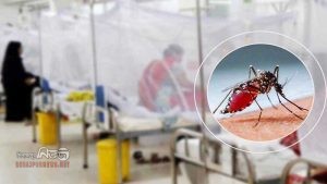 ডেঙ্গুতে একদিনে আরও ৫ মৃত্যু, হাসপাতালে ভর্তি ১১৪৭