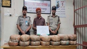 দিনাজপুরে ৫৬ কেজি গাঁজা ও ১৪২ পিস ইয়াবা উদ্ধার