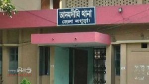 বগুড়ার আদমদীঘিতে বিড়াল হত্যা ঘটনায় নারীর বিরুদ্ধে থানায় জিডি