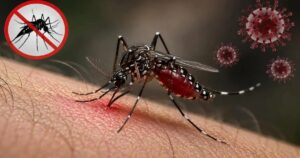 ডেঙ্গুতে আরও ৫ জনের মৃত্যু